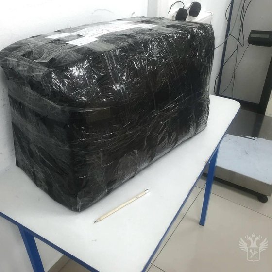   クマの足が入った箱。［写真　ロシア連邦関税庁テレグラム］