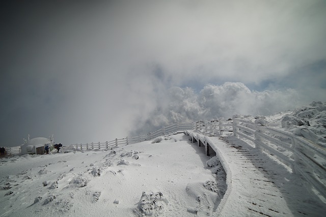 漢拏山の資料写真［Ｐｉｘａｂａｙ］