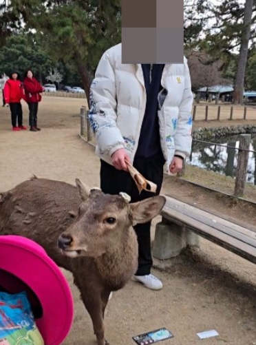 日本のユーチューバーＢ氏が３日、自身のＸに韓国人観光客がシカを虐待したと主張して掲示した写真。［Ｘ　キャプチャー］