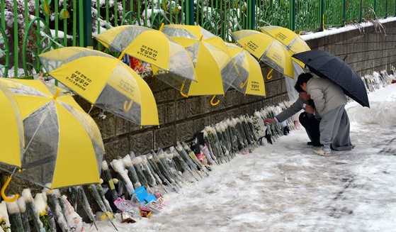 大田に雪と雨が降った１２日、故キム・ハヌルさんが通っていた小学校の塀に追悼客が置いた造花が濡れないように黄色い傘がさされている。キム・ソンテ客員記者