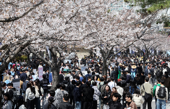 釜山市南区（プサンシ・ナムグ）に位置した釜慶（ブギョン）大学大淵（テヨン）キャンパスで３月３１日、新しい春を知らせる桜祭り「ピンクキャンパス」が開幕し、多くの学生が集まって祭りを楽しんでいる。ソン・ボングン記者