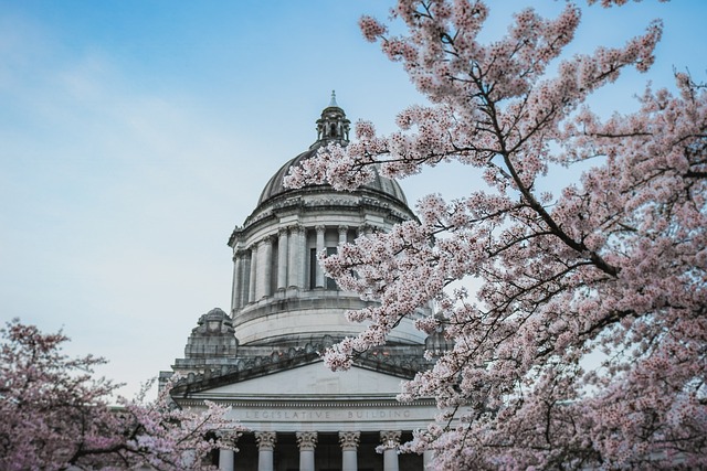 ワシントンＤ．Ｃ．の資料写真［​写真　Ｐｉｘａｂａｙ］