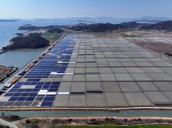 米国政府が３日、強制労働規定を違反した韓国最大規模の単一塩田である太平（テピョン）塩田の天然塩の輸入を遮断する違反商品保留命令（ＷＲＯ）を発動したと明らかにした。写真は全羅南道新安郡曽島（チョルラナムド・シナングン・チュンド）に位置した太平塩田の様子。［写真　聯合ニュース］