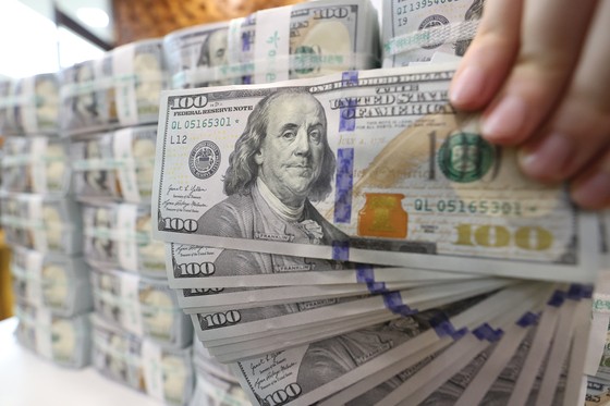 先月３日、ソウルのハナ銀行偽造変造対応センターで行員が米ドルを整理する様子。［写真　聯合ニュース］