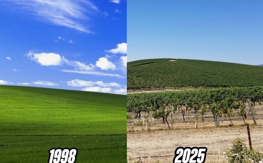 Ｗｉｎｄｏｗｓ　ＸＰ壁紙の１９９８年と２０２５年の様子。［写真　ＳＮＳ］  ​