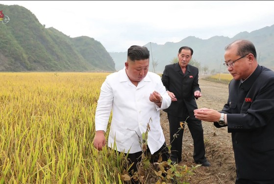金正恩国務委員長が２０２１年１０月に江原道金化郡の水害復旧現場を訪れ稲を調べている。［朝鮮中央テレビ　キャプチャー］