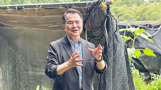 朝鮮ニンジン（高麗人参）を日本各地に伝播した地域として知られている栃木県で朝鮮お種ニンジン栽培のための保存と継承の研究が続いている。下野朝鮮お種ニンジン栽培方法保存協議会を設立した陳賢徳（チン・ヒョンドク）会長（株式会社フェドラ代表）が１２日、宇都宮大学農学部農場で伝統栽培方式で栽培中の朝鮮ニンジンについて説明をしている。キム・ヒョンイェ特派員