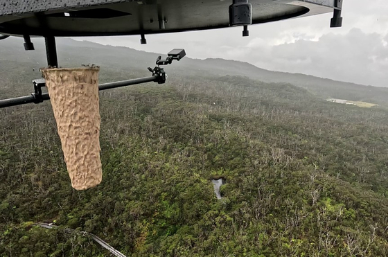 蚊が入った円筒形の紙箱がドローンから地上に落ちている。　［写真　ハワイ環境団体］