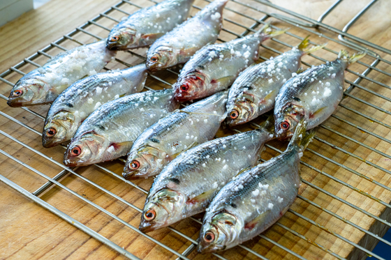魚のイメージ