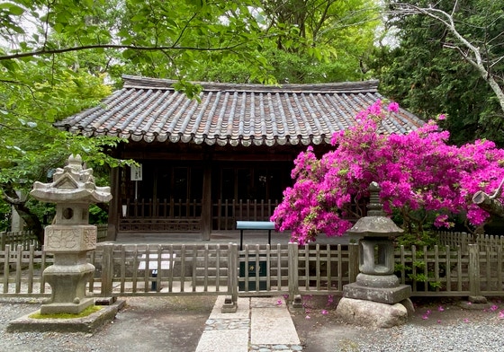 朝鮮時代王宮の祠堂建築物とされる「観月堂」が日本に搬出されて約１００年ぶりに韓国に戻ったと２４日、国家遺産庁と国外所在文化遺産財団が明らかにした。写真は日本で解体される前の観月堂の様子。［写真　国家遺産庁］