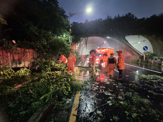 大雨で道路の木が転倒している様子。［写真　仁川消防本部］
