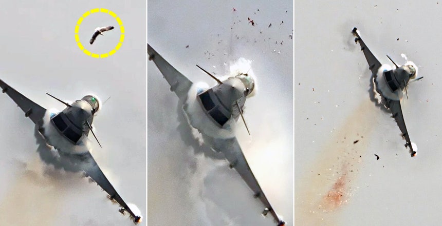   カモメと衝突した戦闘機の様子［インスタグラム　キャプチャー］