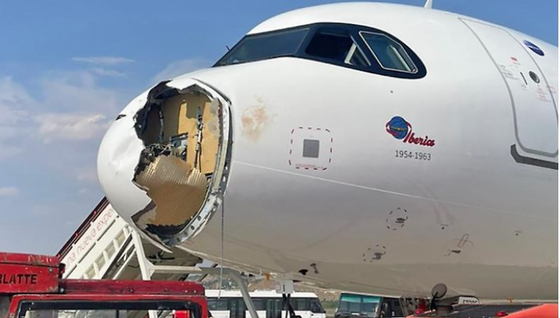   バードストライクにより損傷を受けた旅客機［Ｘ　キャプチャー］