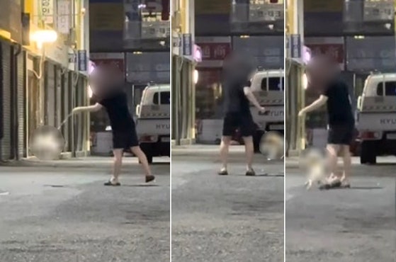   ある男性が伴侶犬を虐待しているような場面［ボベドリーム　キャプチャー］