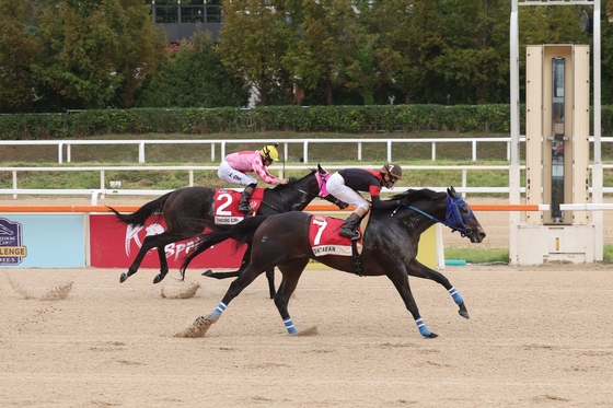 日本の馬「ディクテオン」が7日、コリアカップを制した。2着は香港の「チェンチェングローリー」。 ［写真韓 国馬事会］