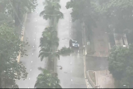 香港で8日（現地時間）、台風16号で折れた木を避けて車が走行している。 ［AP＝聯合ニュース］