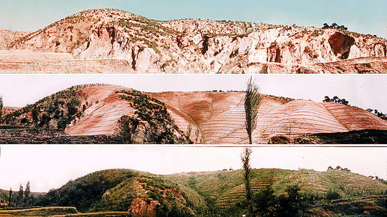 1970年代初め、禿山だった慶尚北道（キョンサンブクド）迎日（ヨンイル）地区が森林緑化以前と以後で変化した様子。［写真 韓国山林庁］