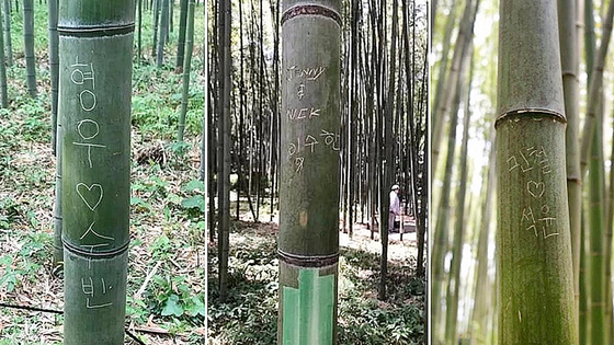 京都市嵐山の名所である竹林で発見されたハングルの落書き。［写真＝嵐山フェイスブック・京都地域関連ウェブメディアKyotopi・聯合ニュース］
