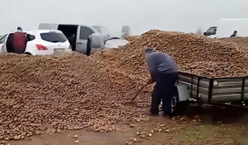 ポーランドのある農夫がSNSに拡散した「ジャガイモ無料配布」虚偽動画で一日のうちにジャガイモ150トンの盗難に遭った。数百人が押し寄せて畑を荒らしていったが、一部だけが謝罪後にジャガイモを返した。 ［SNS　キャプチャー］