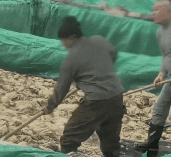   中国の漬け物工場で、労働者がたばこを吸い、唾を吐く場面。［X　キャプチャー］