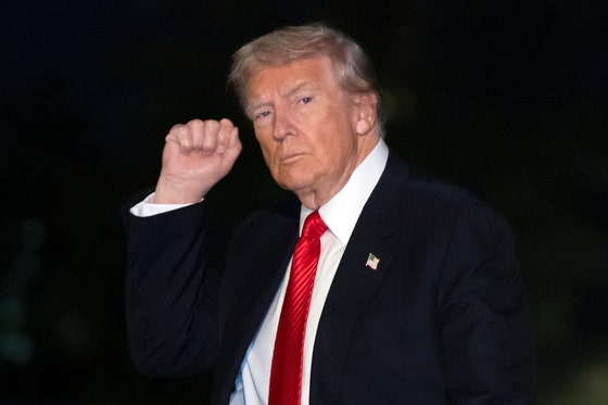 米国のドナルド・トランプ大統領が2日（現地時間）、ワシントンD．C．ホワイトハウス南側の芝生を歩きながらジェスチャーを取っている。［写真 AP＝聯合ニュース］