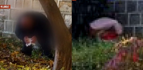 景福宮（キョンボックン）の石垣の下で、中国人とみられる男女が用を足す様子。［JTBC『事件班長』　キャプチャー］