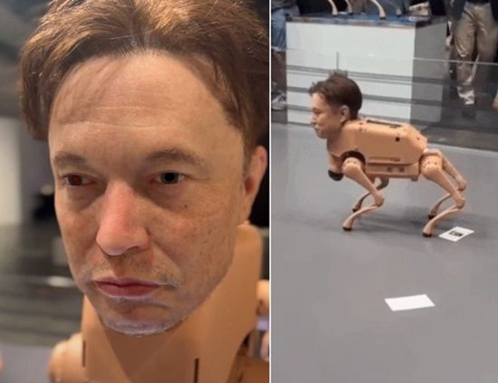 ［写真 SNS・ページシックス キャプチャー］