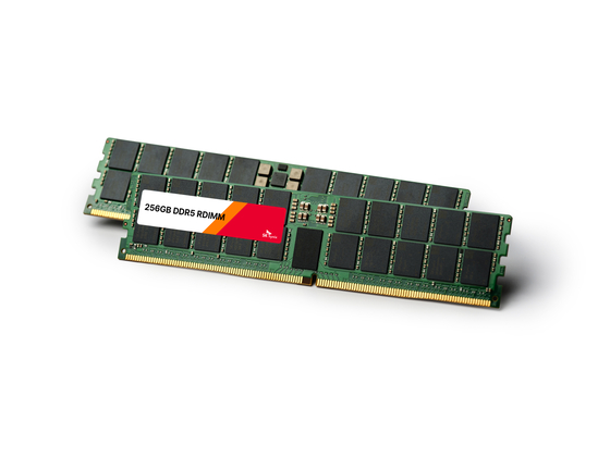 SKハイニックスの10ナノ級第5世代（1b）32Gbを基盤にした大容量サーバー用DRAMモジュール製品「256GB DDR5 RDIMM」。［写真　SKハイニックス］