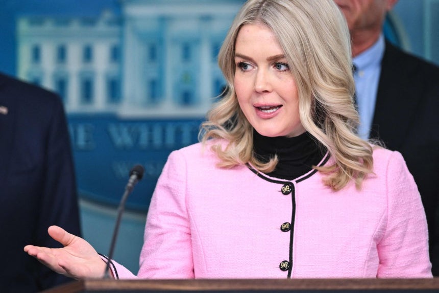 ホワイトハウスのレビット報道官が7日にメディア会見をしている。［写真 AFP＝聯合ニュース］