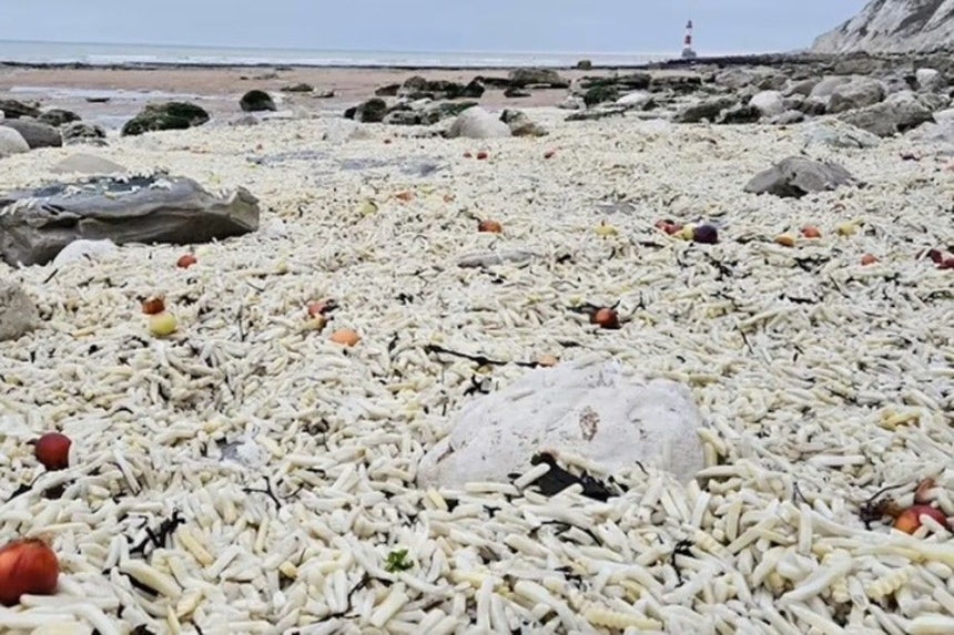   フライドポテトで埋め尽くされた英国イーストボーンの海岸。［SNS　キャプチャー］
