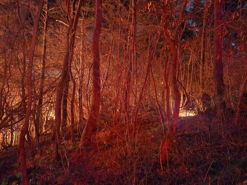 21日午後、釜山機張郡機張邑清江里（プサン・キジャングン・キジャンウプ・チョンガンリ）の工場で火災が発生し、近隣の山へと燃え広がり山火事が拡大している。ニュース1