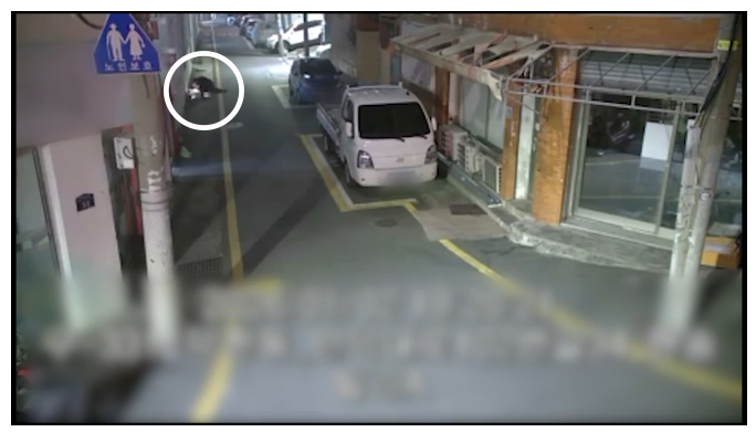 オートバイにはねられた高齢の歩行者に駆け寄る通行人の女性。［防犯カメラ映像　キャプチャー］