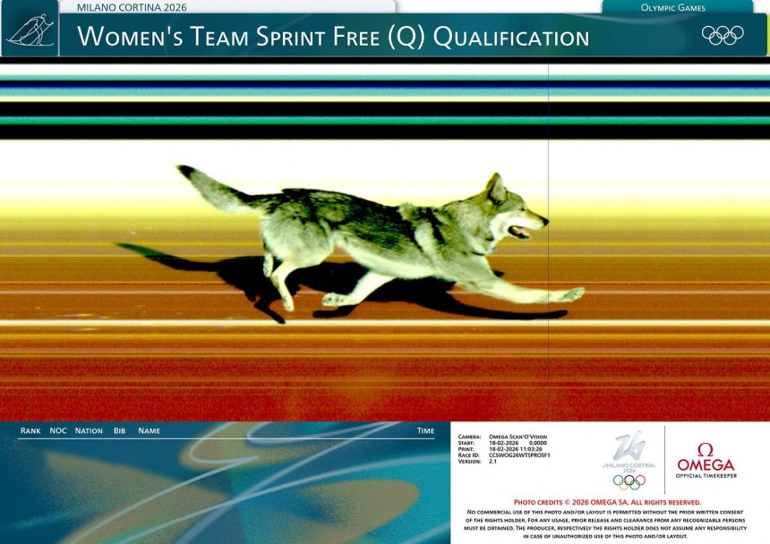  競技に乱入した犬がゴールラインを通過する様子［オメガ＝ロイター］