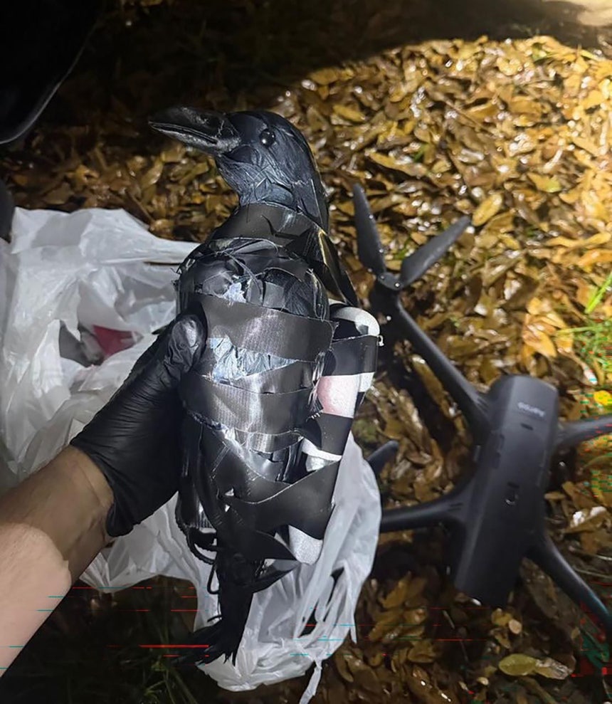 米国でドローンを利用し麻薬などが入ったプラスチック製のカラスをルイジアナ州の連邦刑務所に持ち込もうとした女2人が逮捕された。［フェイスブック キャプチャー］