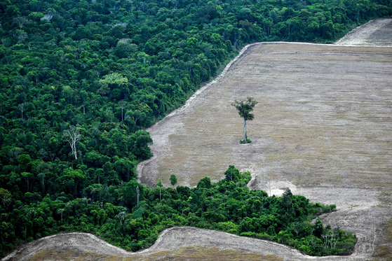 開発で破壊されたアマゾン熱帯雨林［AFP＝聯合ニュース］