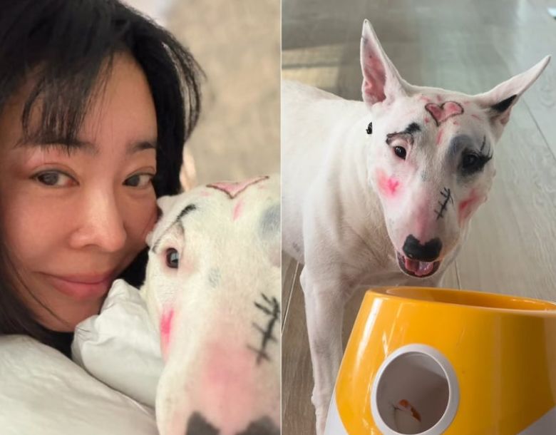 濃いメイクが施された飼い犬の体。［写真　イ・ヘヨンのインスタグラム］