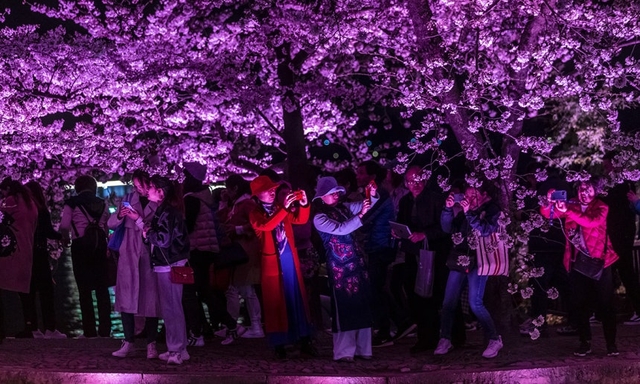   中国江蘇省無錫市の桜の開花 ［写真 EPA＝聯合ニュース］