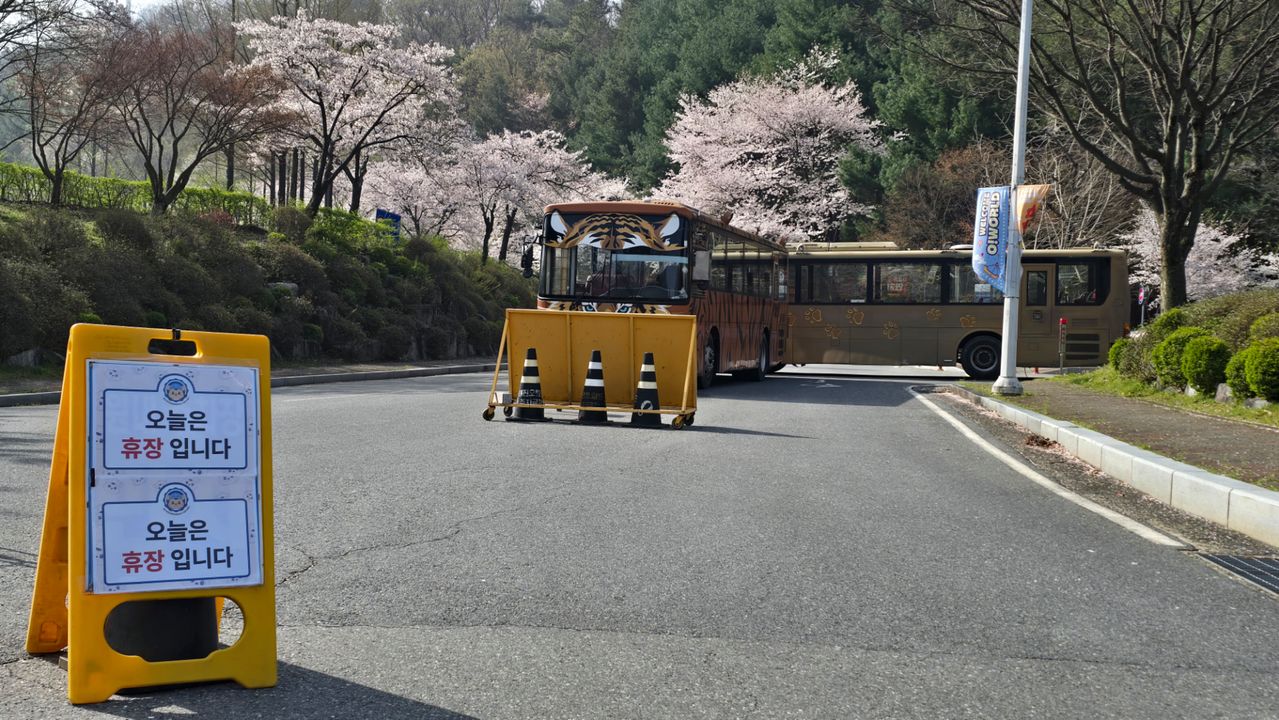 8日に大田のオーワールドから逃げ出したオオカミ「ヌック」の捜索作業が5日にわたり続いている。オーワールド入口には休園を知らせる案内板が立てられている。シン・ジンホ記者