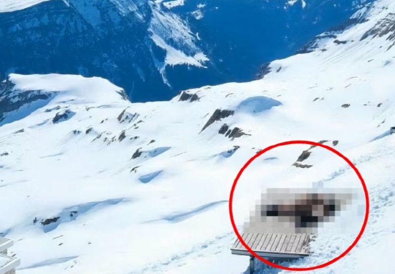   気象観測用ウェブカメラに捉えられた愛情行為中のカップル。［20ミヌーテンのホームページ キャプチャー］