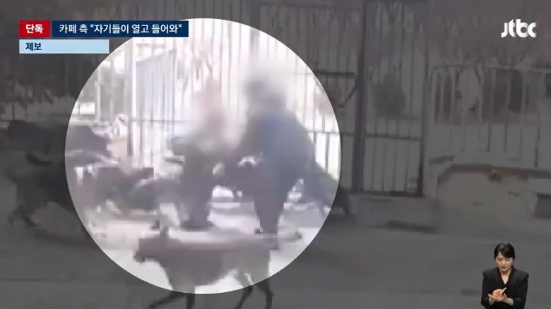 猛犬が女性を攻撃する様子。［写真 JTBC キャプチャー］
