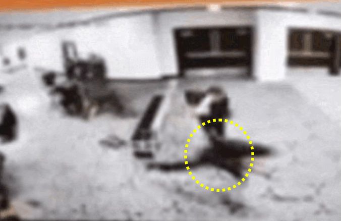 25日、銃撃事件が発生したワシントン・ヒルトンホテルで、容疑者（円内）が保安検査場を全速力で通り抜けている。［写真 トゥルース・ソーシャル キャプチャー］