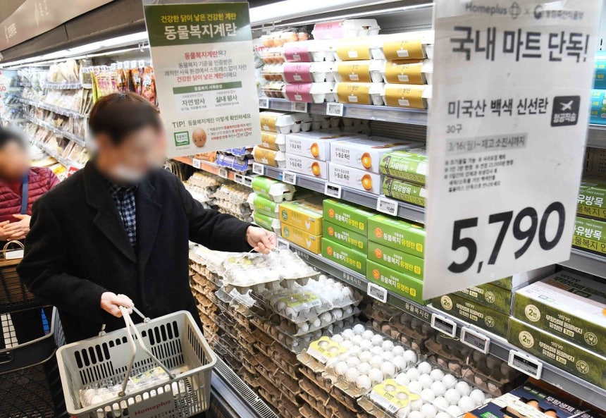 14日、ホームプラスは卵価格の安定のために販売したタイ産の新鮮卵が完売したと明らかにした。客が米国産の新鮮卵を購入している。［写真 ホームプラス］