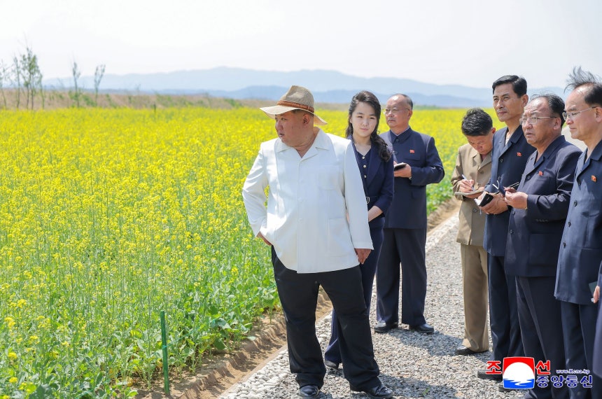 北朝鮮の金正恩国務委員長が先月31日、新義州温室総合農場を視察したと、朝鮮中央通信が1日報じた。 ［聯合ニュース］