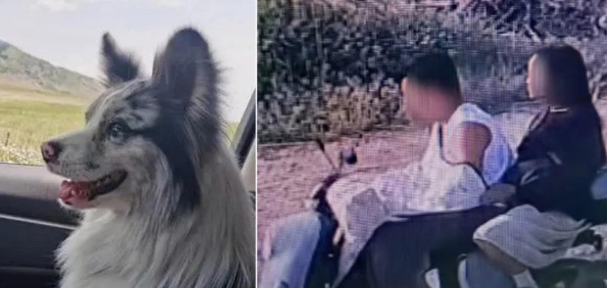   中国SNSスター犬をこっそり盗み屠殺場へ引き渡した男女。［写真 SNS］