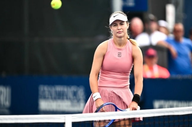 テニス選手のアンナ・カリンスカヤ。