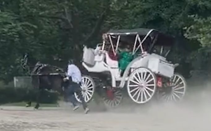   勢いよく走る馬車馬を追いかける御者。［写真 X（旧ツイッター） キャプチャー］