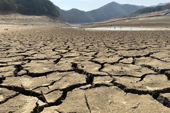 2023年3月20日、全羅南道順天にある住岩ダムが底を見せている。深刻な日照りが1年ほど続き、光州と全羅南道の主要飲用水源である住岩ダムの貯水率は21．53％まで下がった。［写真 聯合ニュース］