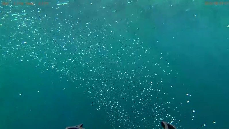 北極海の海底にある永久凍土からメタンが噴出し、気泡が立ち上っている。［写真 韓国・極地研究所］