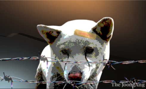 虐待を受ける犬のイメージ画像。［写真　中央日報］