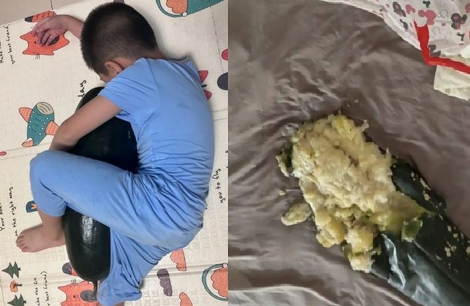  抱いて寝た冬瓜が破裂した様子。［SCMP キャプチャー］